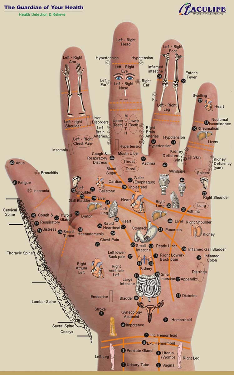 Printable Foot And Hand Reflexology Chart