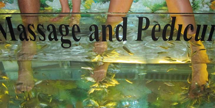 doctor-fish-reflexology-massage-and-pedicure