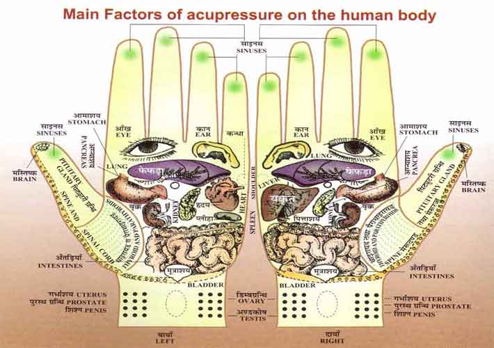 hand-reflexology-chart-divya