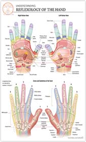 hand-reflexology-chart-stone-institute